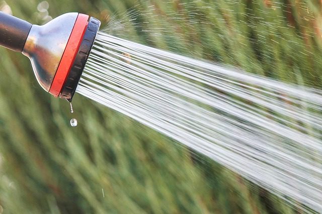 Spraying Garden water hose